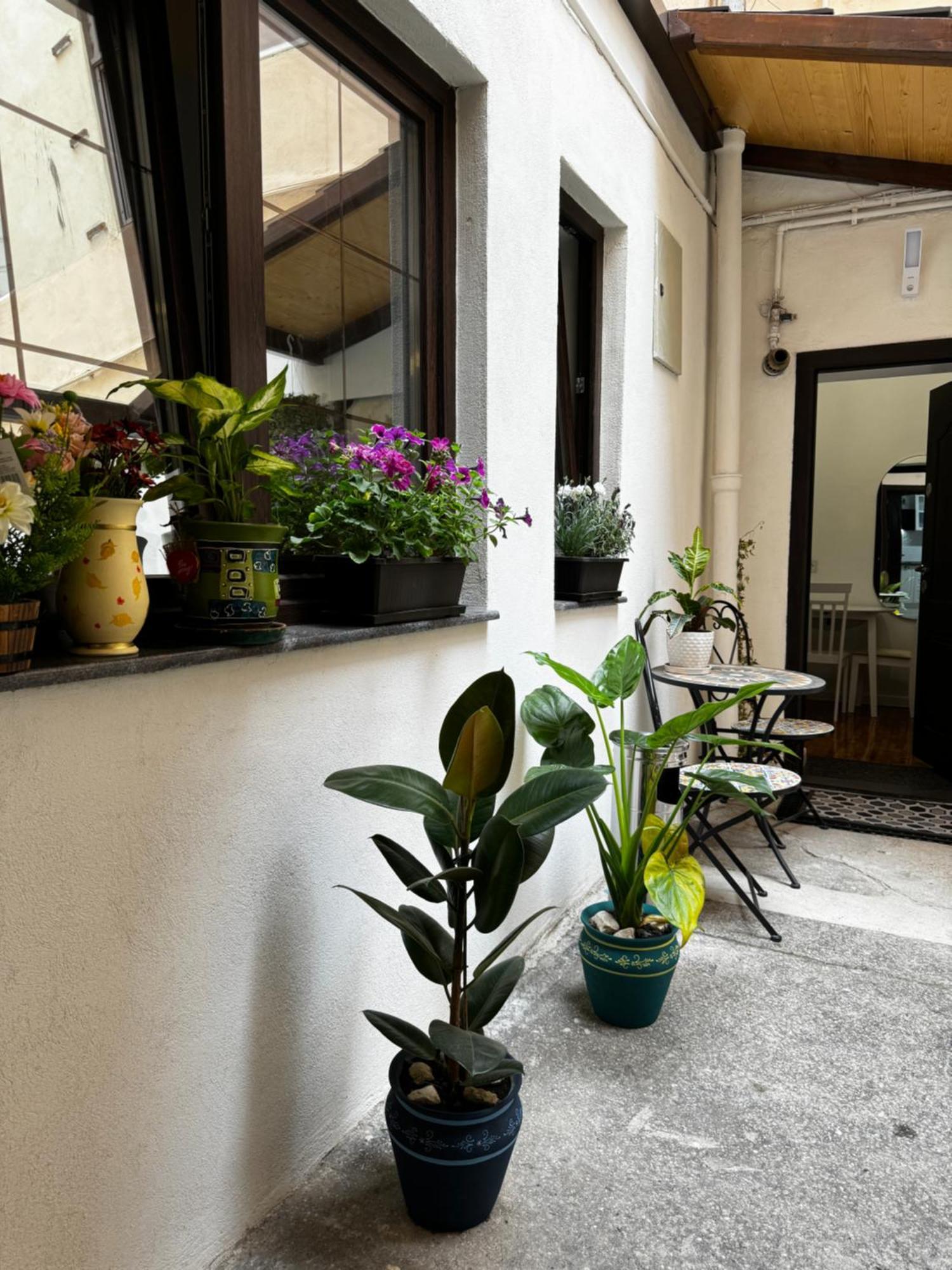 Balcescu Central Residence シビウ 部屋 写真